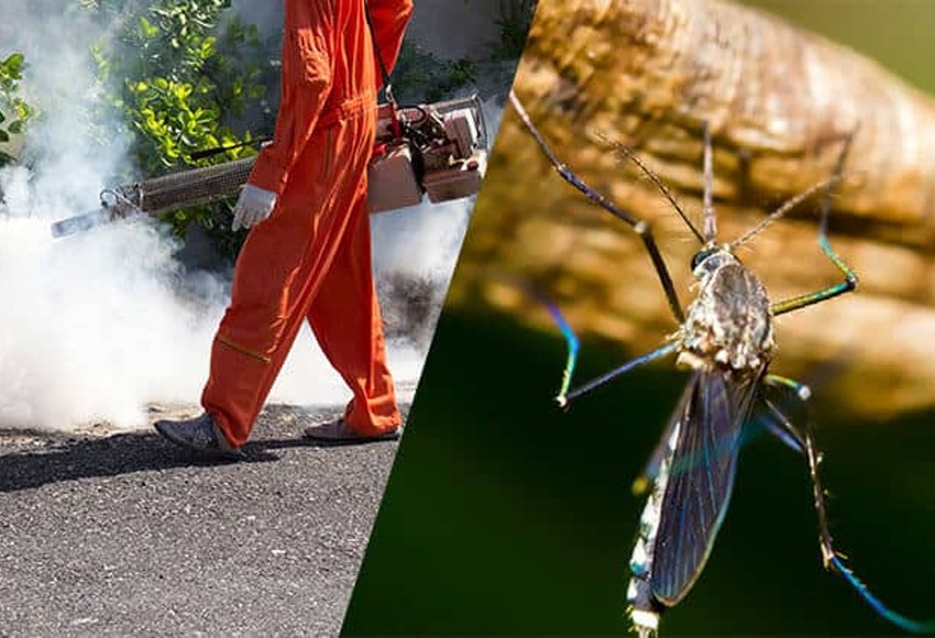 Mosquito Spray Winnipeg